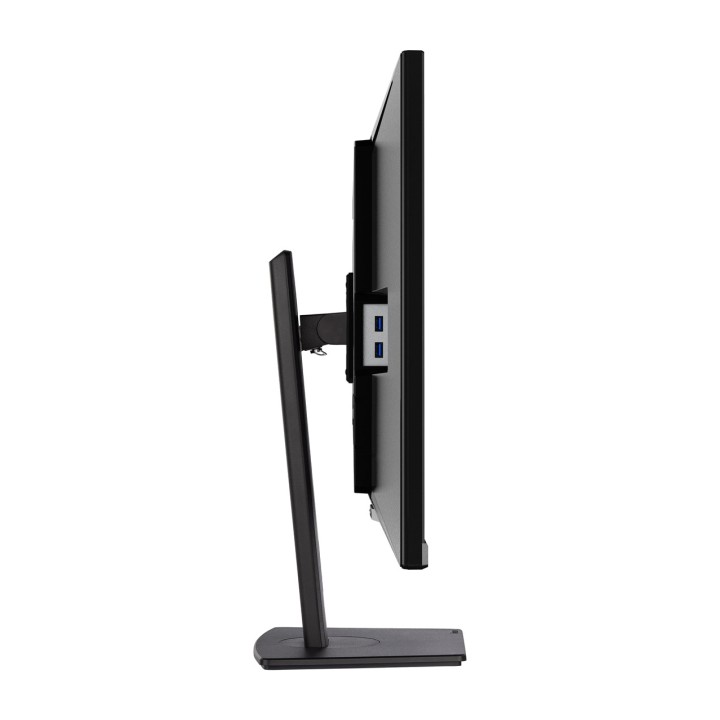 IIYAMA IPS monitor with height-adjustable stand PROLITE-