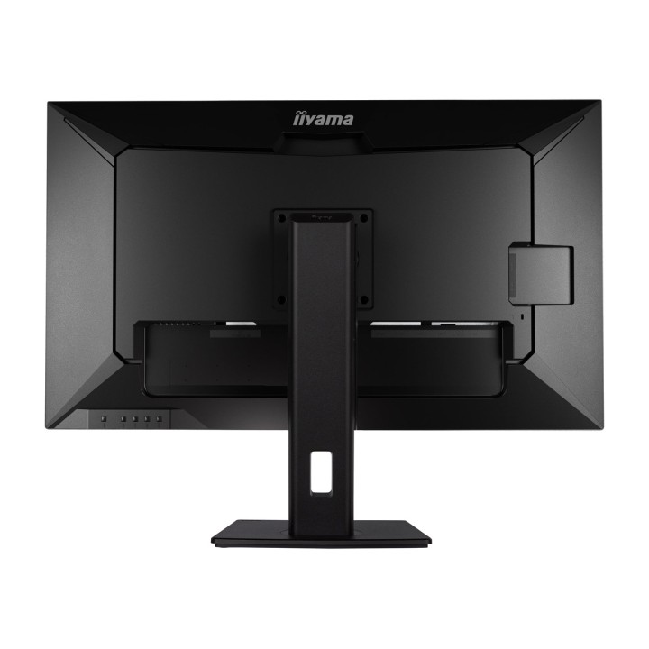 IIYAMA IPS monitor with height-adjustable stand PROLITE-