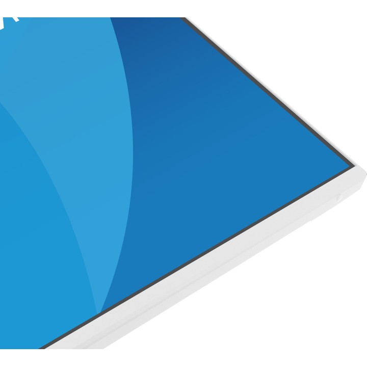 IIYAMA Monitor IPS con supporto regolabile in altezza
