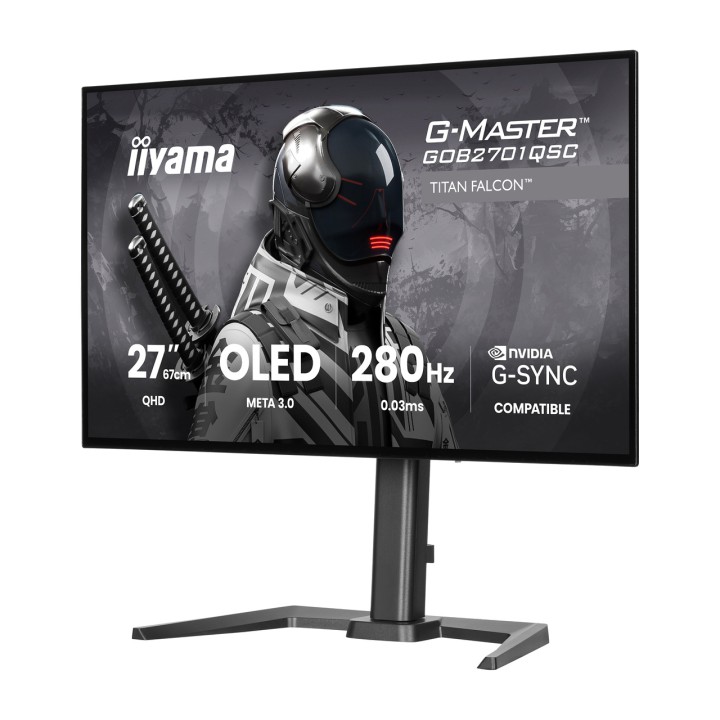 IIYAMA Moniteur gaming OLED G-MASTER 27" WQHD 100205159