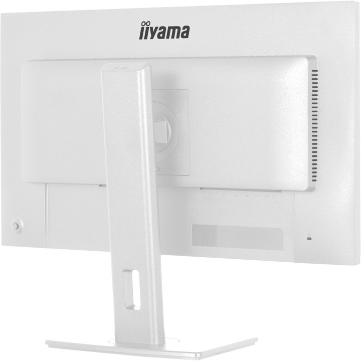 IIYAMA Monitor IPS con supporto regolabile in altezza
