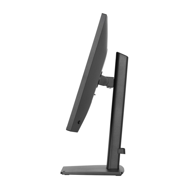 IIYAMA IPS-Monitor mit höhenverstellbarem Standfuß PROLITE-