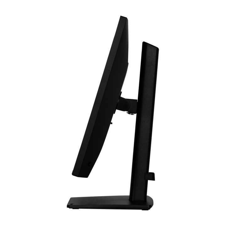 IIYAMA Monitor IPS con supporto regolabile in altezza