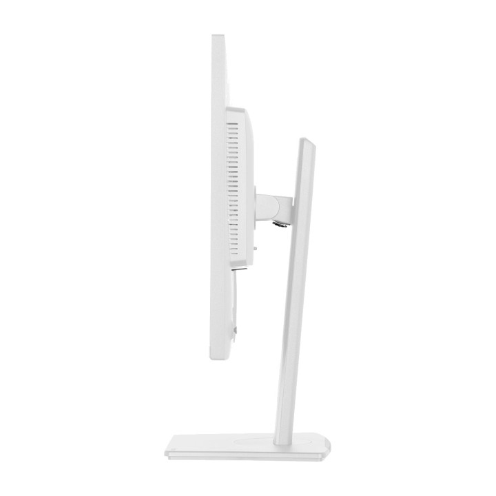 IIYAMA Monitor IPS con supporto regolabile in altezza