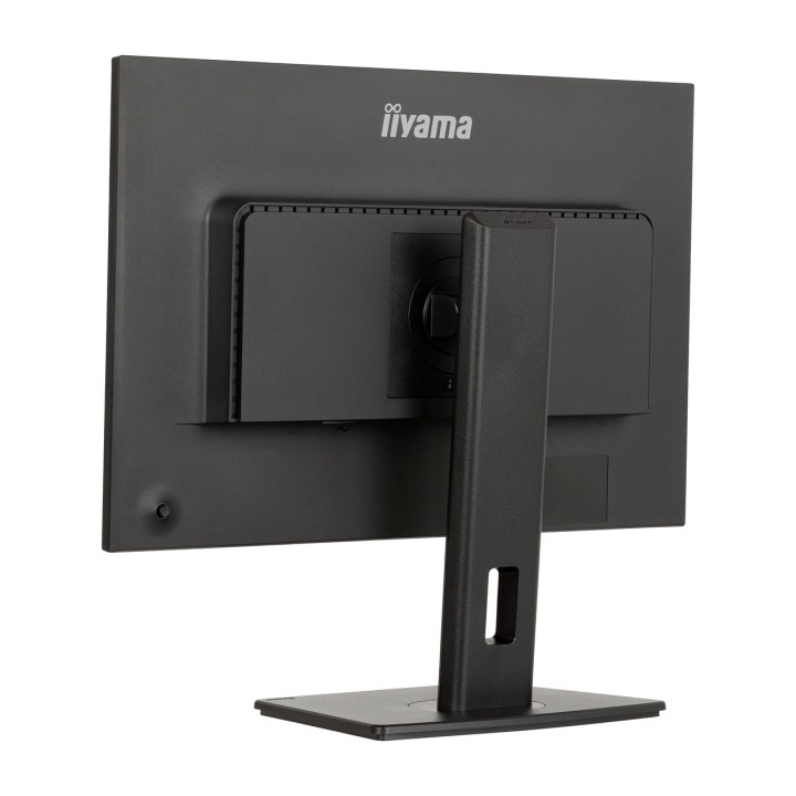 IIYAMA IPS monitor with height-adjustable stand PROLITE-