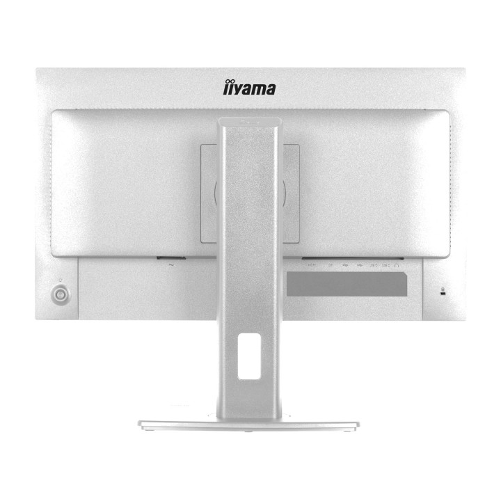 IIYAMA IPS-Monitor mit höhenverstellbarem Standfuß PROLITE-