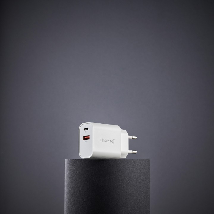 INTENSO Caricatore USB da rete con due porte W30AC 30W