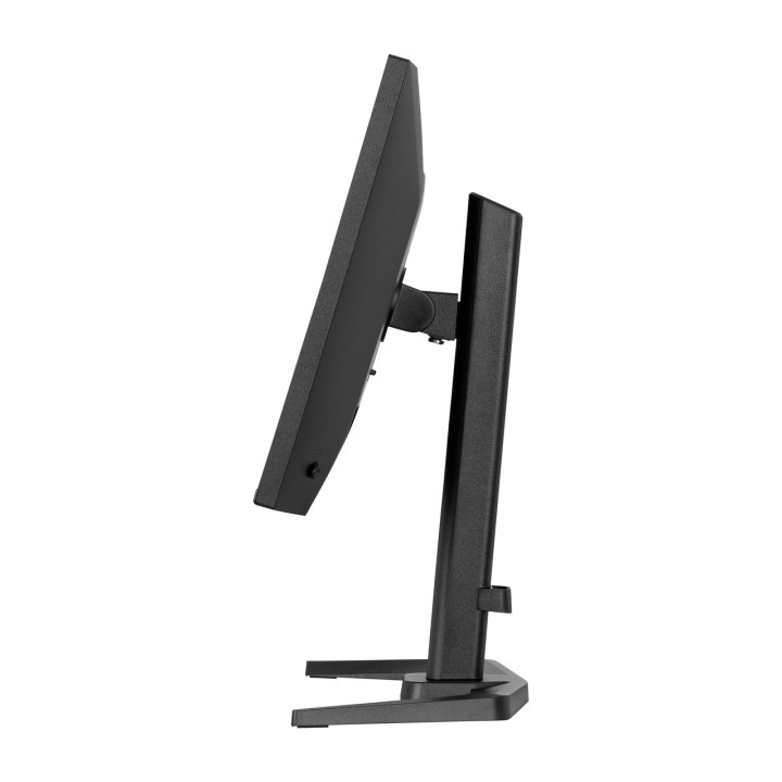 IIYAMA Monitor gaming G-MASTER-BLACK HAWK 23,8" FULL HD
