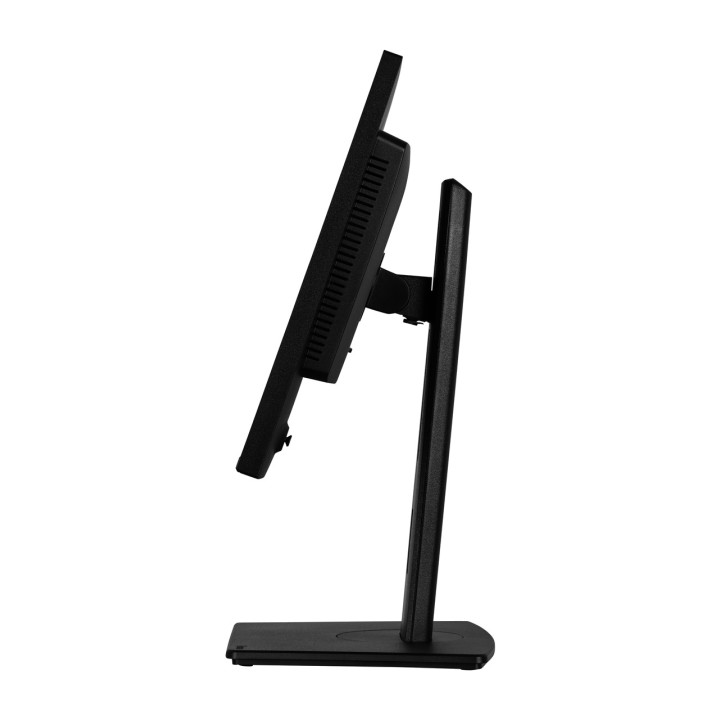 IIYAMA IPS monitor with height-adjustable stand PROLITE-