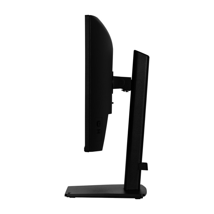 IIYAMA IPS monitor with height-adjustable stand PROLITE-