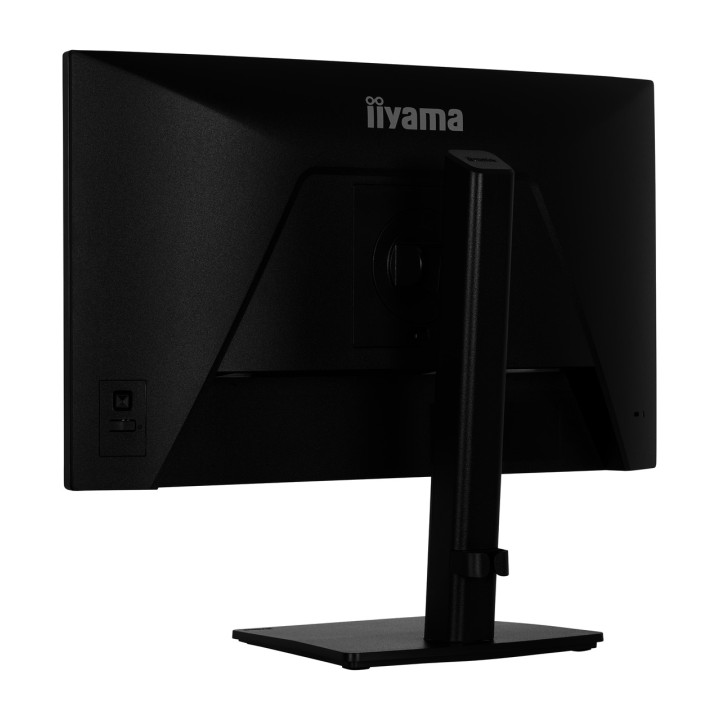 IIYAMA Monitor IPS con supporto regolabile in altezza