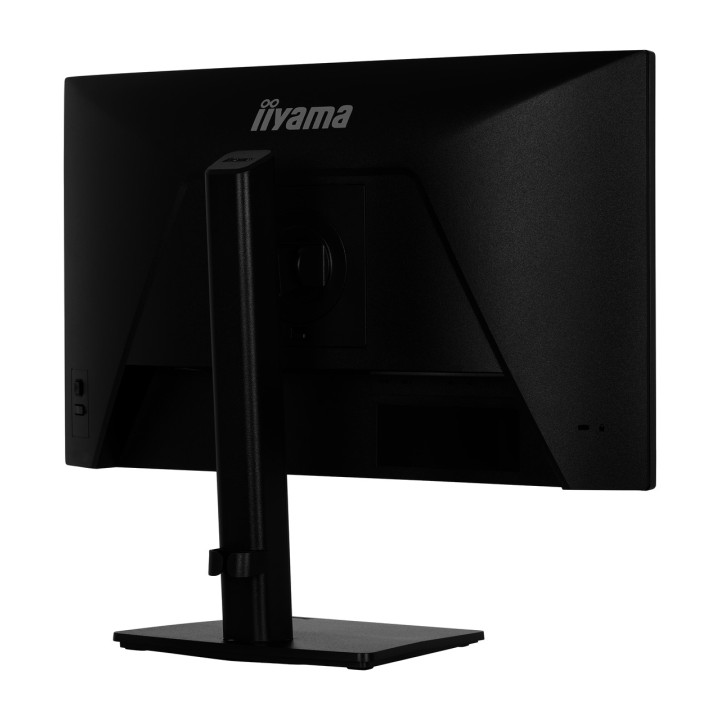 IIYAMA IPS monitor with height-adjustable stand PROLITE-