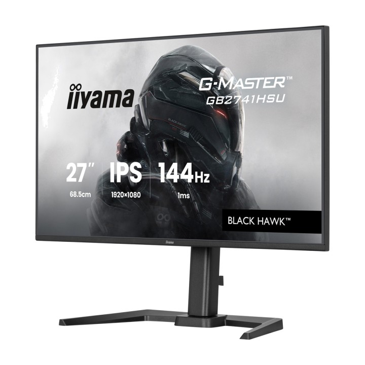 IIYAMA Monitor gaming G-MASTER-BLACK HAWK 27" FULL HD 100163520