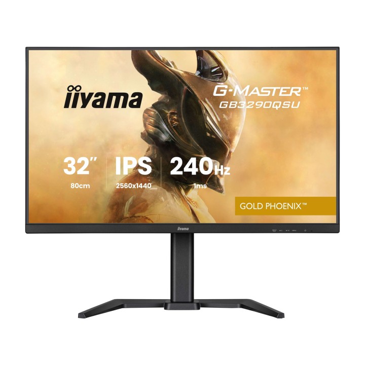 IIYAMA Moniteur gaming G-MASTER 31,5" WQHD 100161184