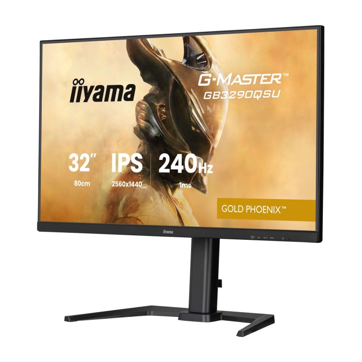 IIYAMA Monitor gaming G-MASTER 31,5" WQHD 100161184