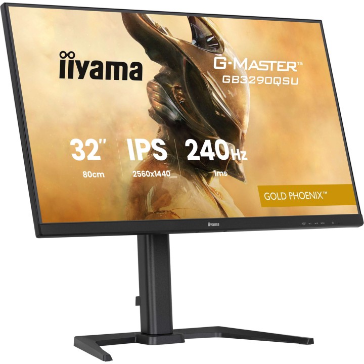 IIYAMA Monitor gaming G-MASTER 31,5" WQHD 100161184
