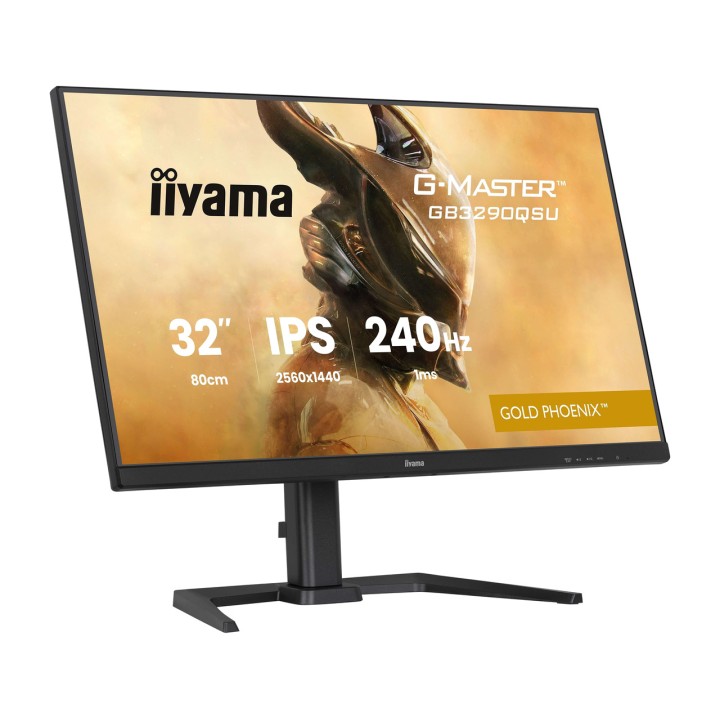 IIYAMA Monitor gaming G-MASTER 31,5" WQHD 100161184