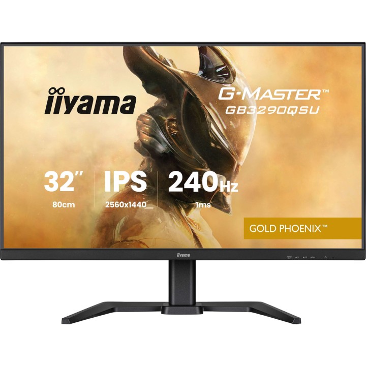 IIYAMA Monitor gaming G-MASTER 31,5" WQHD 100161184