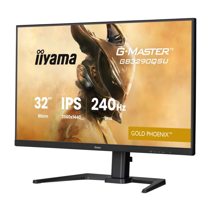 IIYAMA Moniteur gaming G-MASTER 31,5" WQHD 100161184