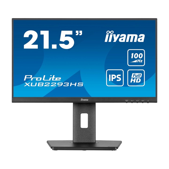 IIYAMA Monitor IPS con supporto regolabile in altezza