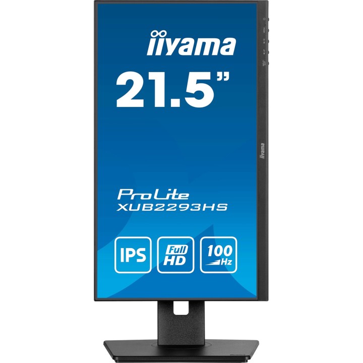 IIYAMA Monitor IPS con supporto regolabile in altezza