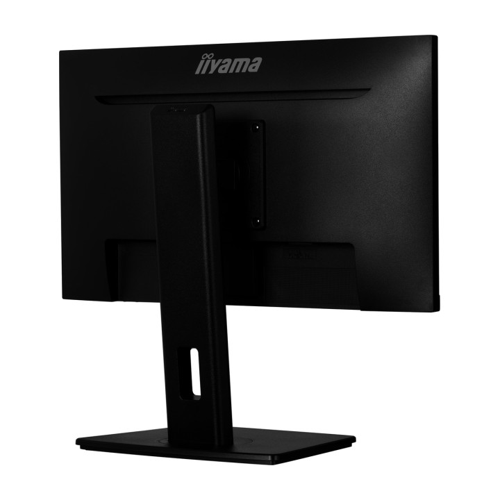 IIYAMA IPS-Monitor mit höhenverstellbarem Standfuß PROLITE-