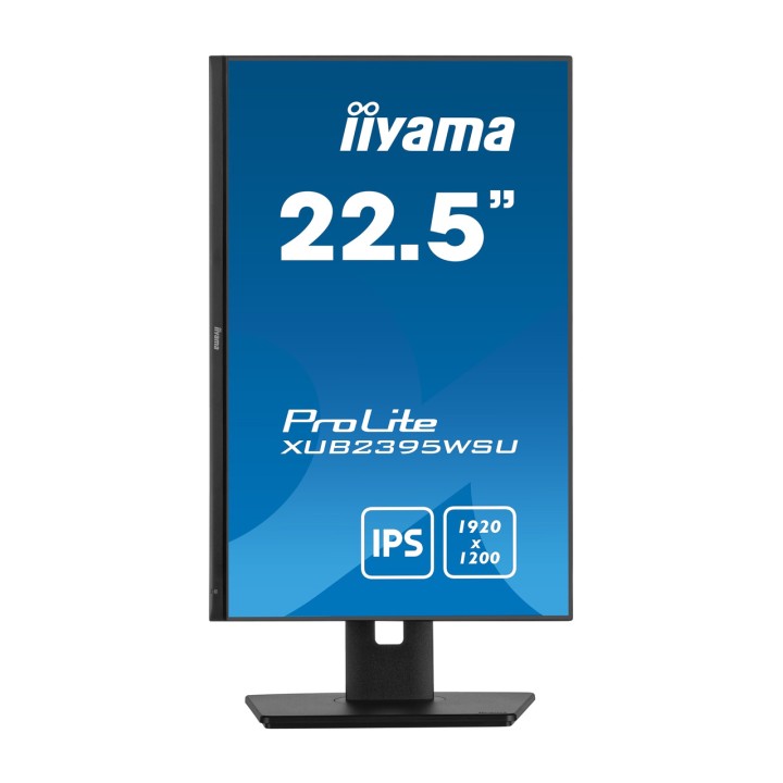 IIYAMA IPS-Monitor mit höhenverstellbarem Standfuß PROLITE-