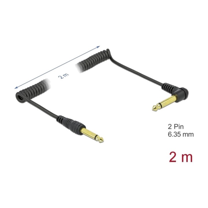DELOCK Câble audio jack grand format 6,35MM 2M 85939 1676056
