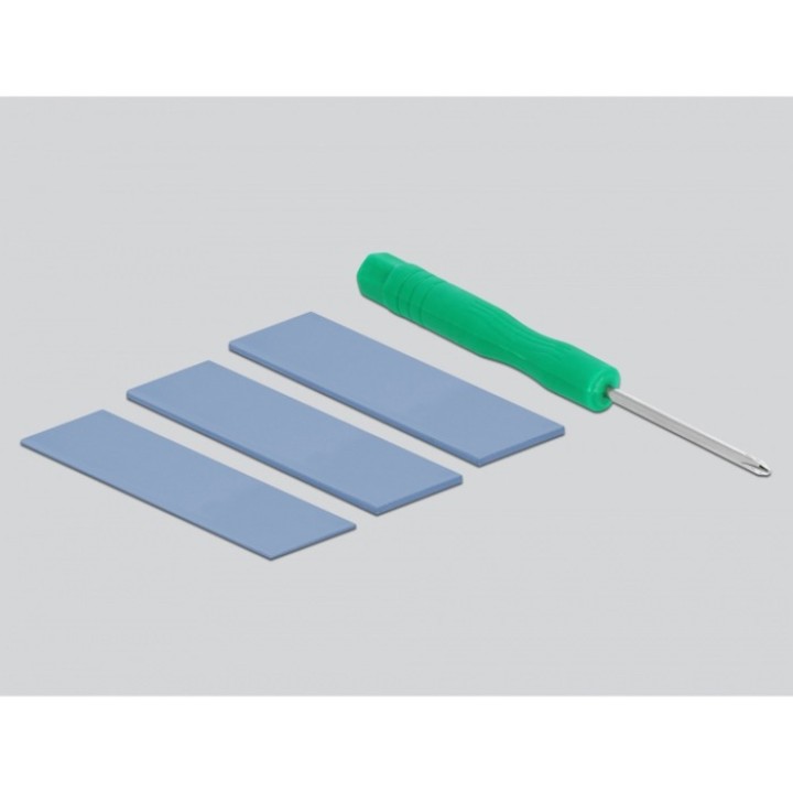 DELOCK Box esterno per SSD M.2 NVMe USB-C/A 10GBPS 42616