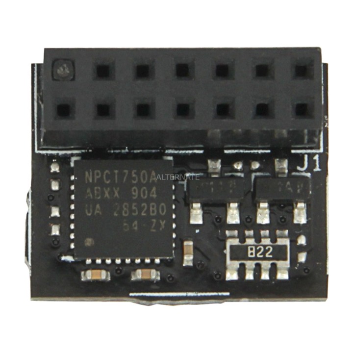 ASUS TPM-Sicherheitsmodul für Mainboard SPI-2.0 1555821