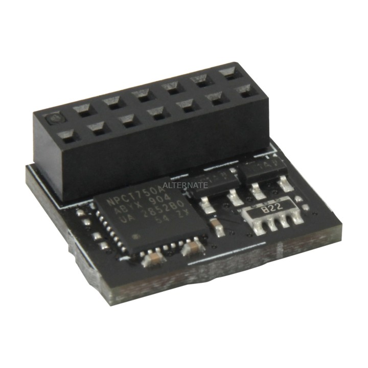 ASUS Módulo de seguridad TPM para placa base SPI-2.0 1555821