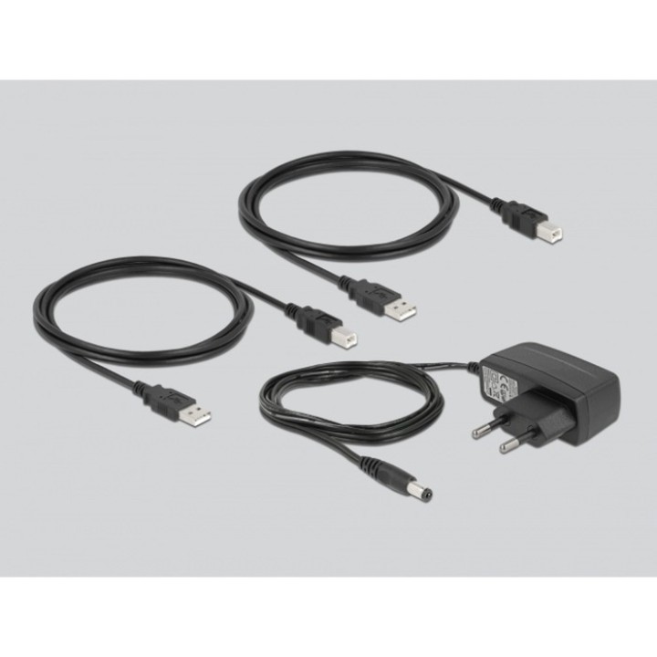 DELOCK Switch USB per condividere periferiche tra computer