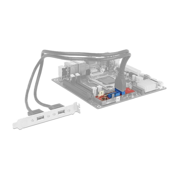 DELOCK Adaptador M.2 a dos cabezales USB internos