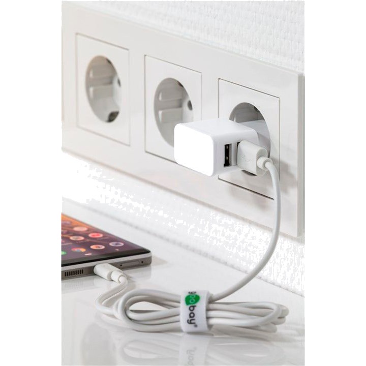 GOOBAY Caricatore da parete doppio USB Tipo A 2,4A