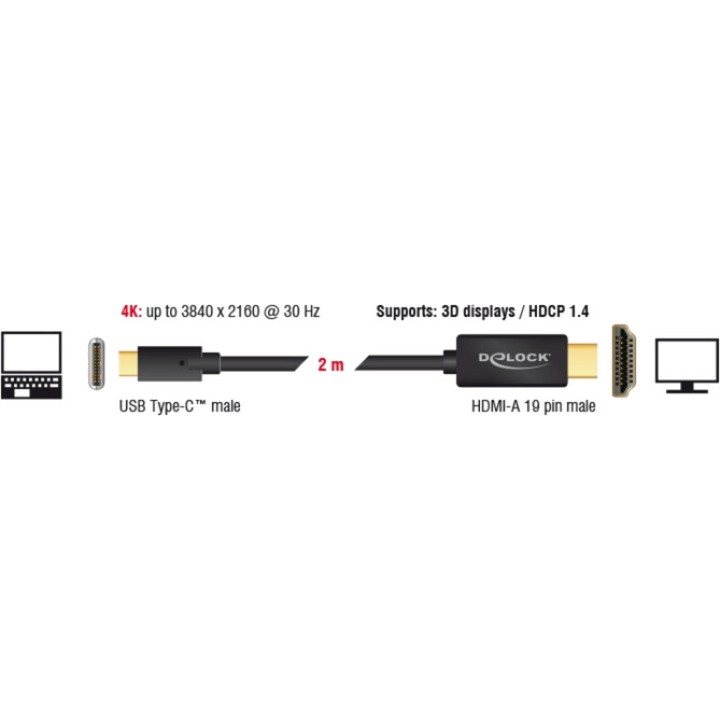 DELOCK Câble USB-C vers HDMI HIGH SPEED DP-ALT 1486917VAR