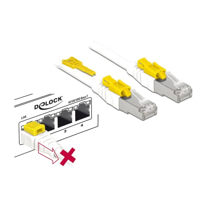 DELOCK Ethernet-kabel met verbindingsstukken RJ45 CAT6A