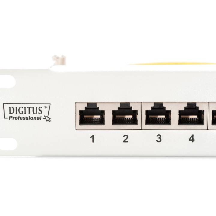 DIGITUS Panel de parcheo apantallado CAT6 19" 1U 24X RJ45