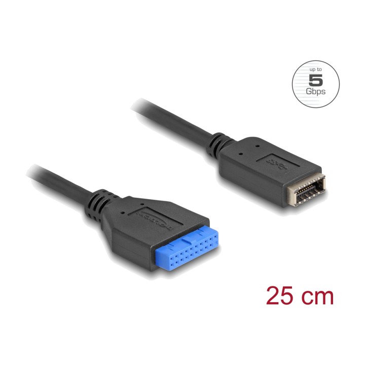 DELOCK Câble adaptateur pour connecteur USB interne 19PIN A