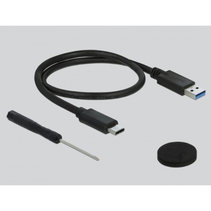 DELOCK Box esterno per hard disk o SSD SATA 2,5" USB-C