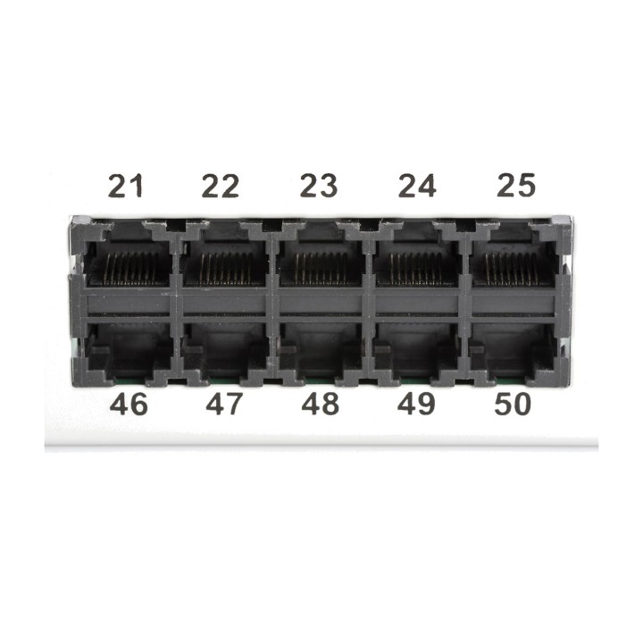DIGITUS Panneau de brassage non blindé CAT3 ISDN 19" 1U 50X