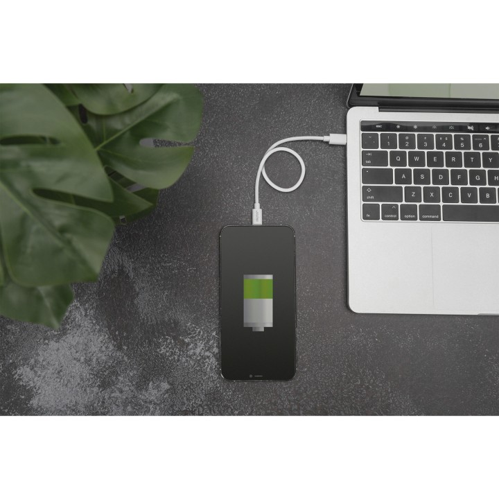 DIGITUS Certified charging and data cable USB-2.0