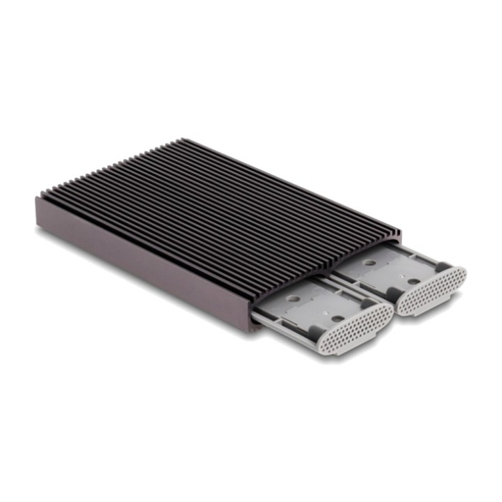 DELOCK Boîtier externe double pour 2 SSD M.2 NVMe et SATA