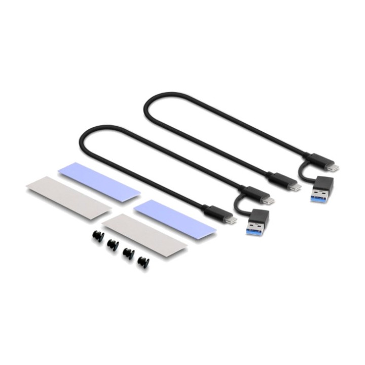 DELOCK Box esterno doppio per 2 SSD M.2 NVMe e SATA USB-C