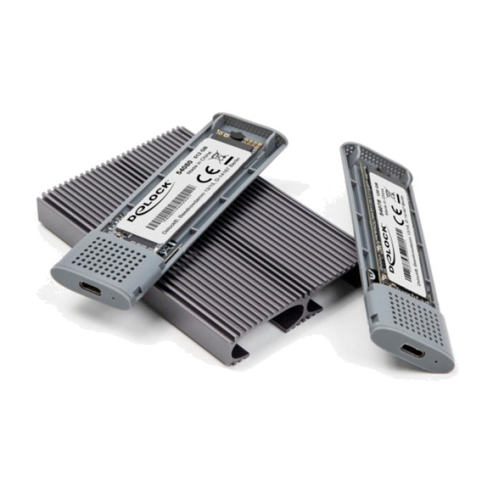 DELOCK Externes Dual-Gehäuse für 2 M.2 NVMe- und SATA-SSDs