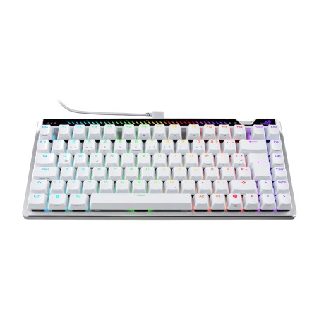 tastiera gaming magnetica cablata con layout tedesco rog-falchion ace 75 he