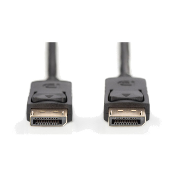 DIGITUS Cavo DisplayPort per monitor 1.1A FULL HD 1080P