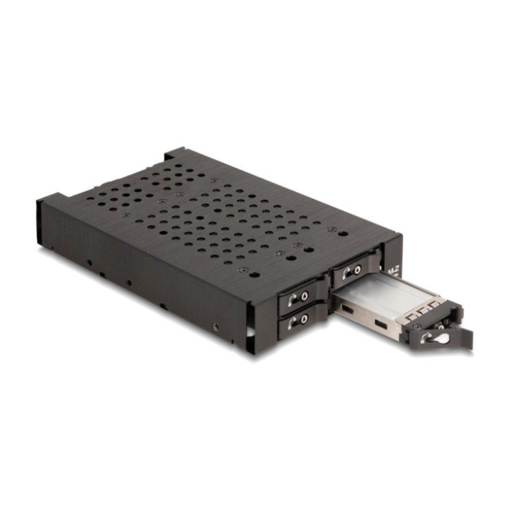 DELOCK Rack extraíble para SSD M.2 NVMe 3,5" 4X SFF-8612