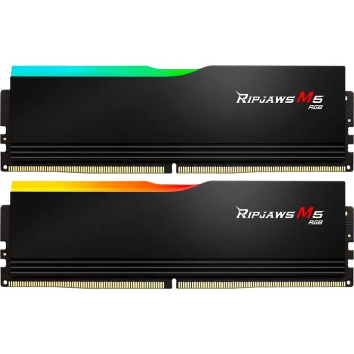 G.SKILL Kit de mémoire RAM DDR5 5200 MHz composé 2 modules