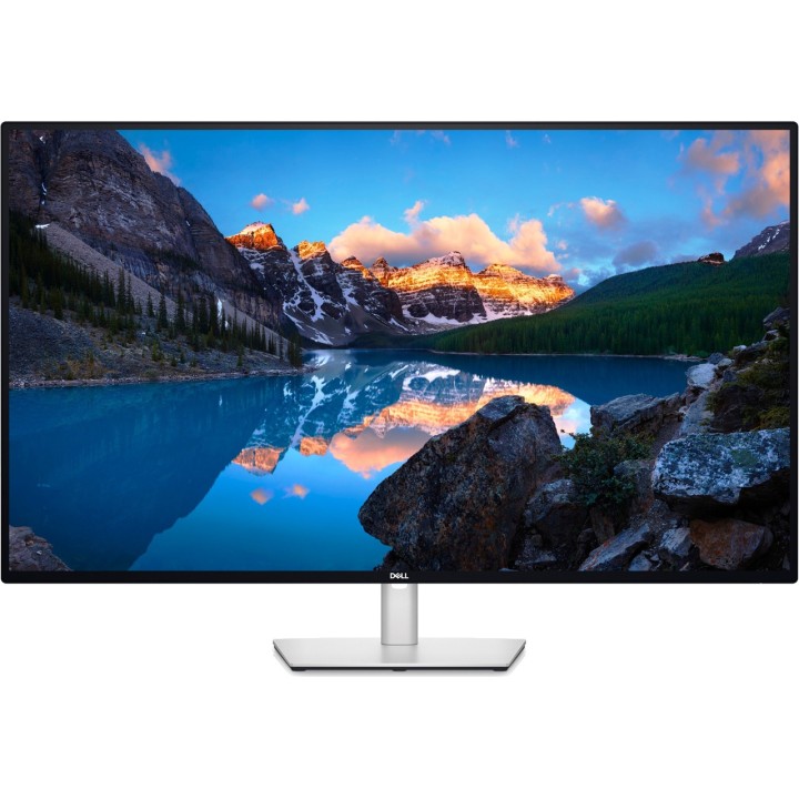 DELL Monitor IPS professionale di grande formato con hub