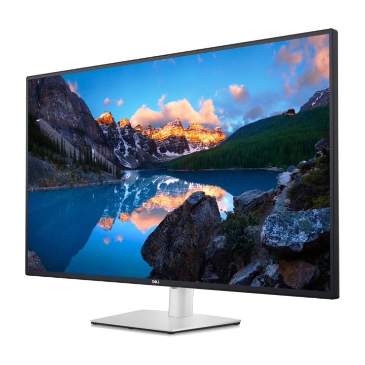 DELL Monitor IPS professionale di grande formato con hub